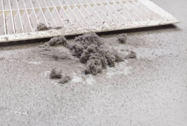 Best Best Air Duct Cleaning Near Me  in St Paul, NE