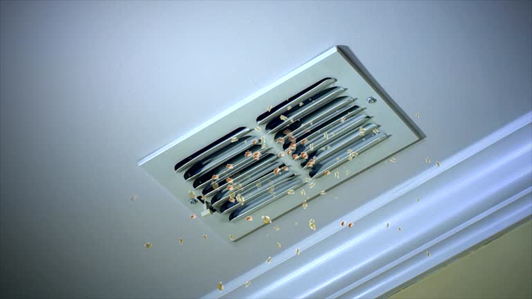 Best Best Air Duct Cleaning Company  in St Paul, NE