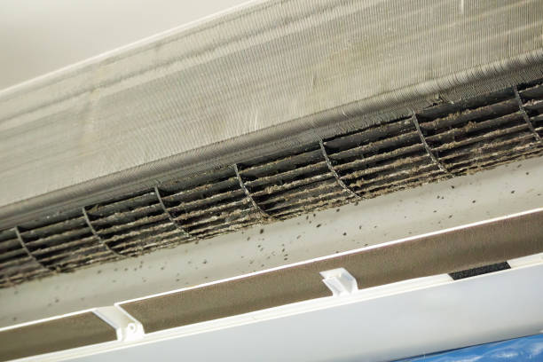 Best Air Duct Cleaning Near Me  in St Paul, NE